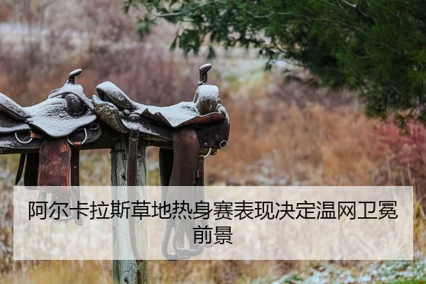 a-er-ka-la-si-cao-di-re-shen-sai-biao-xian-jue-ding-wen-wang-wei-mian-qian-jing-2-661.jpg
