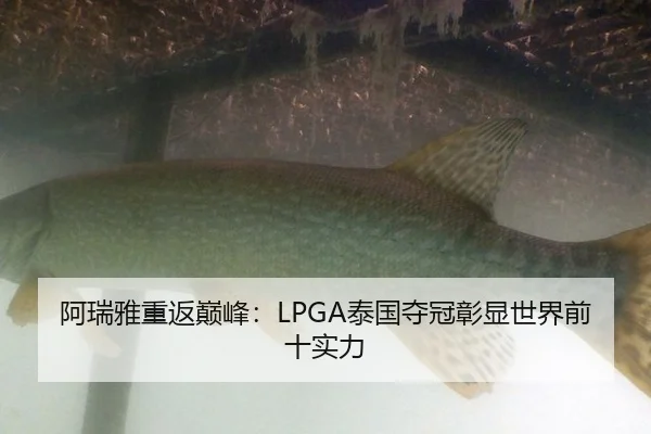 阿瑞雅重返巅峰：LPGA泰国夺冠彰显世界前十实力
