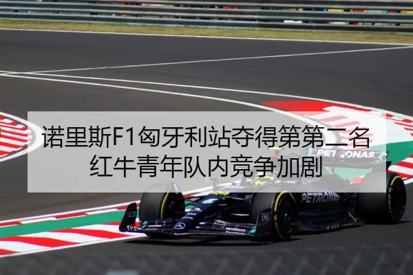 诺里斯F1匈牙利站夺得第第二名红牛青年队内竞争加剧
