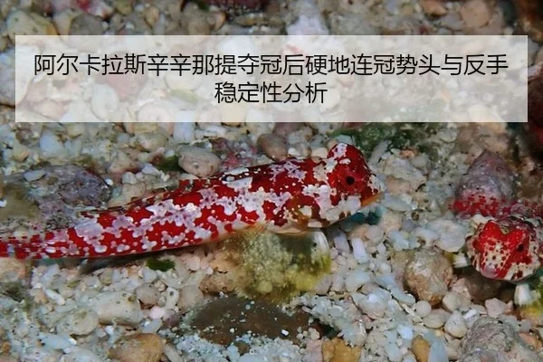 阿尔卡拉斯辛辛那提夺冠后硬地连冠势头与反手稳定性分析