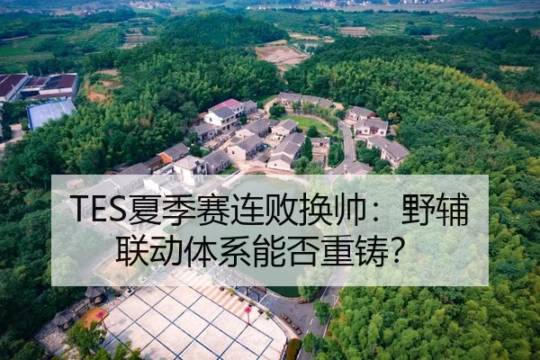 TES夏季赛连败换帅：野辅联动体系能否重铸？