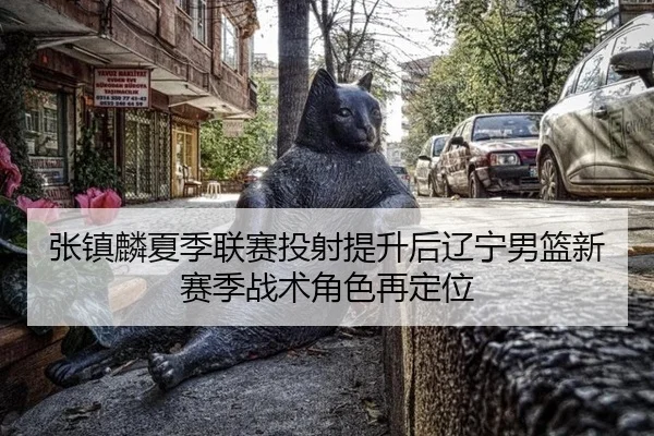zhang-zhen-lin-xia-ji-lian-sai-tou-she-ti-sheng-hou-liao-ning-nan-lan-xin-sai-ji-zhan-shu-jue-se-zai-ding-wei-3-363.jpg